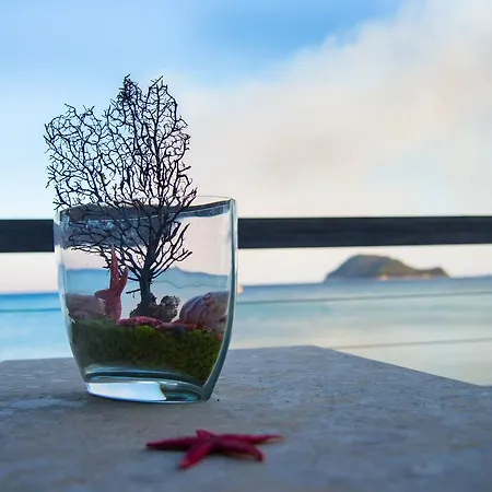 Mare Zakynthos, Private Λαγανάς