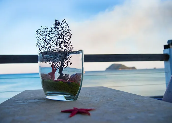 Mare Zakynthos, Private Λαγανάς